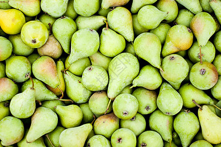 多种成熟的梨背景图片