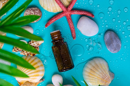 海洋背景的基本石油 有选择的焦点石头瓶子贝壳温泉身体植物香气芳香热带香水图片