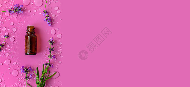 含熏衣草基本油的化妆品 有选择性的焦点润肤花朵温泉横幅保湿紫色治疗皮肤瓶子血清图片