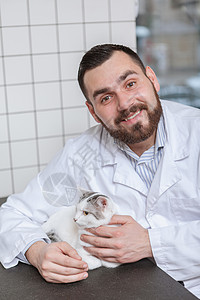 男兽医和猫在诊所检查医院卫生专家注射动物保健男人治疗职业图片