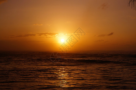 海浪移向岸边 日落在海面上波浪太阳树木海岸热带蓝色风景场景橙子奢华图片