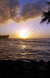 海浪移向岸边 日落在海面上场景热带天空地平线风景棕榈太阳海洋树木蓝色图片