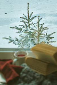 窗口和打开书窗外的雪雪窗户乡村家园阅读材料木头杯子生活天气格子图片