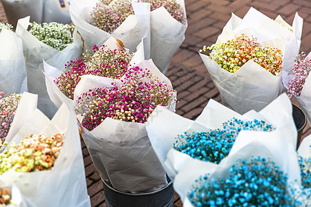 在阿姆斯特丹中心停放的几辆自行车园艺快乐销售市场成人店铺花园植物群零售花朵图片
