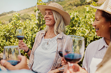 一群不同的朋友在葡萄园里拿着酒杯 周末在农场品酒时 一群快乐的人站在一起 亲密无间 享用白葡萄酒和酒精的朋友玻璃朋友们帽子花园环图片