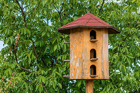 古老的经典国家古老后古代鸽子cote(Dovecote)图片