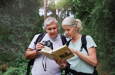 高加索夫妇在远足期间在森林里观鸟时使用双筒望远镜和一本书 探索在森林里的成熟丈夫和妻子踪迹背包享受女性阅读女士冒险闲暇休息绿色图片