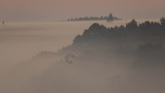 清晨山谷的森林非常雾雾 大气看起来很可怕 黑暗的语气和古老的图像季节爬坡薄雾潮人公园明信片环境天气木头阴霾图片