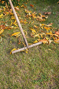 园丁在秋天清扫花园农场园艺园林工具女性季节院子公园后院树叶图片