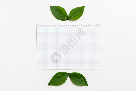 带有格子图案线和叶子的笔记本表 用于创意横幅 白纸与新鲜植物学布局商业广告和品牌推广图片