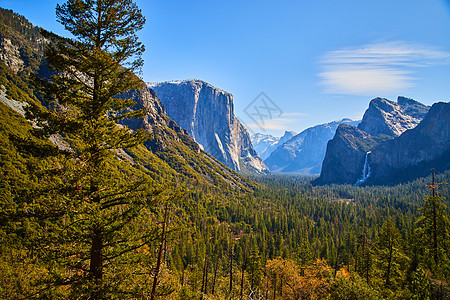 Yosemite 标志性隧道视图 前方有松树图片