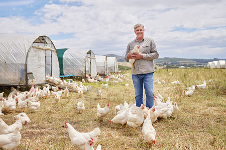 经营可持续的农场 自豪地和谨慎地经营 一个在家禽养殖场工作的成熟男子的肖像图片