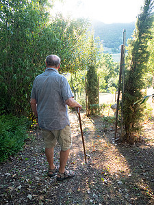 夏季 在农场用扶手的步行棍行走时 有天主教老人带着援助棒走路病人力量手杖服务国家家庭生活手指保健医疗人员图片