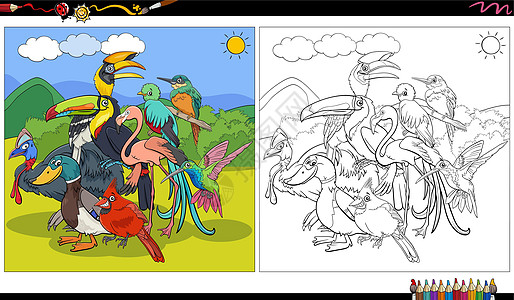 动画鸟鸟动物字符组颜色页面图片