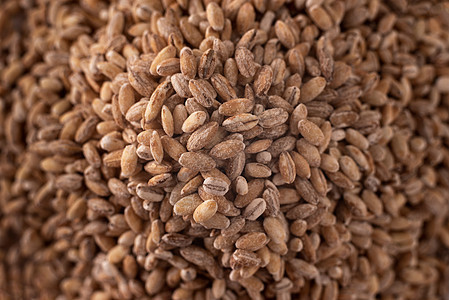 大麦 健康的古老谷物食品 特别的特制图片