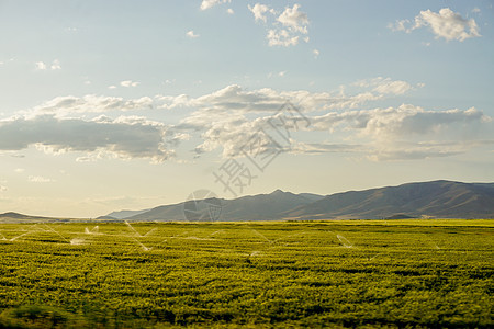 日落时绿小麦耳田植物橙子蓝色太阳土地爬坡地平线天空晴天国家图片