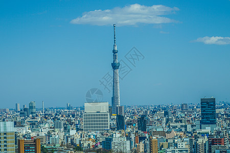从休息室看到东京市的Bunkyo公民中心视图晴天城市景观好天气建筑景点机构国道建筑群街景图片