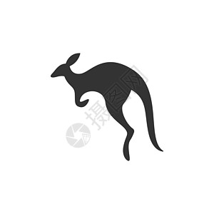 Kangaroo 图标标志标识设计插图模板婴儿荒野黑色动物群小袋动物园旅行旅游艺术毛皮图片