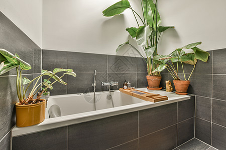 用白色浴缸的浴室内部卫生间住宅装饰洗澡公寓制品风格房子财产金属卫生图片