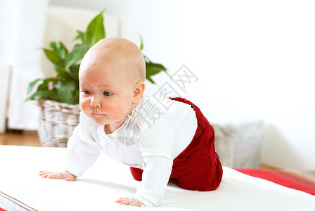 托德学着爬尿布孩子婴儿期学习快乐儿子喜悦生活婴儿地面图片
