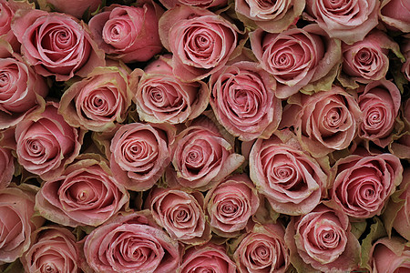 混合粉红玫瑰花紫色鲜花装饰品婚礼新娘玫瑰中心捧花插花装饰背景图片