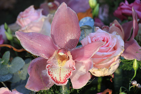 粉玫瑰和兰花新娘鲜花中心花瓣婚礼装饰品玫瑰植物群婚姻团体背景