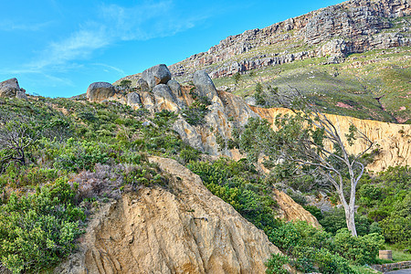 在阳光明媚的日子里 南非一座山上有绿色植物和树叶的景观 绿树成荫的岩石山丘映衬着蓝天 热门探险远足地点的美丽偏远自然景观图片