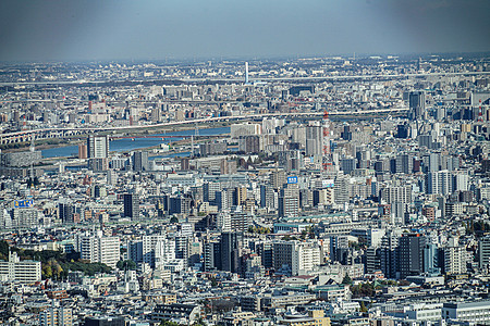 东京市从阳光60号观察甲板上看到景观建筑城市街景池塘景点蓝天摩天大楼建筑群建筑学图片