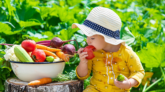 孩子在菜园 有选择性的焦点花园水果孩子们女孩胡椒农场横幅洋葱婴儿收成图片