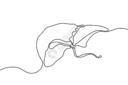 肝脏手绘图标连续线条绘制 人体器官创意抽象艺术背景时尚概念单行设计 轮廓简单图像黑白颜色矢量图片