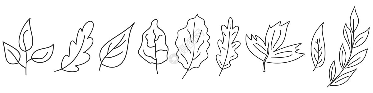 以薄线条样式排列的叶子组艺术回收生物黑色植物群矢量白色收藏绿色森林图片