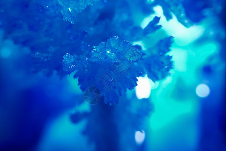 寒冷寒冷的冻冰冰模式磨砂气候雪花天气气象冰镇冰川水晶结晶季节图片
