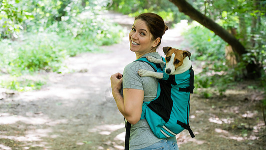白种女人在户外散步 带着狗杰克罗塞尔特瑞尔 在特别的背包里哺乳动物自由配件旅行旅游公园载体街道运输朋友们图片