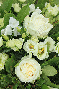 白玫瑰和婴儿呼吸婚礼捧花插花中心装饰新娘白色装饰品鲜花背景图片