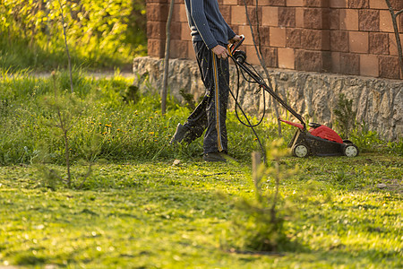 男人在花园里修剪草坪 园丁割草 生活方式工具工人引擎院子割草机农场农民工作园林公园图片