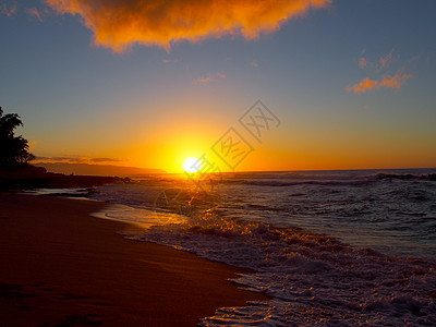 美丽的日落在海洋和海滩上 海浪向岸边移动 脚印在沙滩上蓝色支撑橙子场景树木波浪风景反射棕榈奢华图片