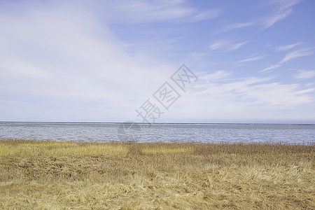 海 湖或者盐水湖风景反对与拷贝空间的天空背景 挪威空旷的海岸上长着芦苇和野草的海湾 大自然中宁静 平静和美丽的风景区图片