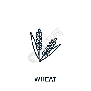 小麦图标 用于模板 网络设计和信息图的单色简单小麦图标麦芽插图标识种子谷物耳朵面包植物场地生长图片