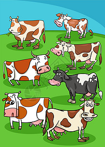 草原上养牛的家畜图片