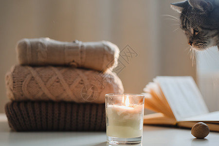 温馨的家居气氛和生活与猫 蜡烛 书本和毛衣风格阅读休息场景小猫装饰羊绒宠物桌子房间图片
