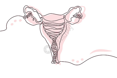 子宫手绘图标连续线条绘制和粉红色平面轮廓 人体器官 医学时尚概念 单行设计 轮廓简单图像黑白矢量图片