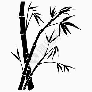 白色背景上隔离的装饰性竹竹枝 矢量插图 Eps 10衬套植物框架叶子艺术墨水边界森林异国绘画图片