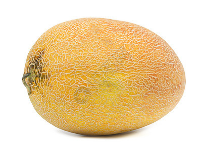 整个成熟的黄瓜 在白底幕上被孤立饮食白色健康橙子食物水果蔬菜圆形甜点图片