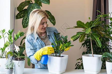 年轻的女商务人士在花盆里喷洒植物 照顾室内植物的女人 一位女士在家里照料植物 用喷雾瓶中的纯净水喷洒植物花店盆栽花园叶子女性瓶子图片
