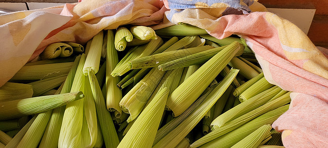 绿色收获玉米可可袋蔬菜淀粉食物棒子饮食麻布收成营养农场赞成图片