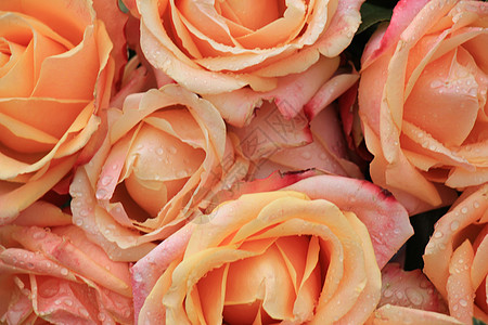 大粉红玫瑰花装饰品中心捧花插花玫瑰新娘装饰婚礼鲜花背景图片