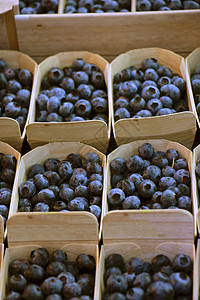 翡翠市场小盒子中的蓝莓零售红色水果生产市场蓝色店铺盒子纸板陈列背景