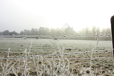深冬清晨 有刺铁丝网上的岩霜图片