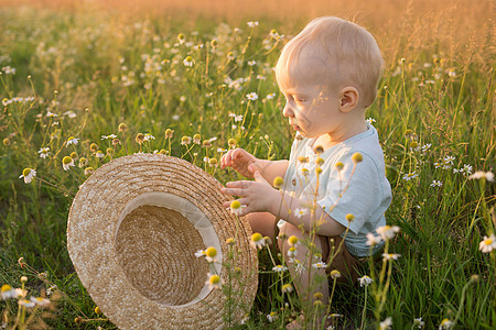 一个戴着草帽的金发小男孩坐在洋甘菊田的草地上 在自然中行走 自由和环保生活方式的概念童年孩子花束甘菊婴儿阳光小家伙育儿雏菊男生图片