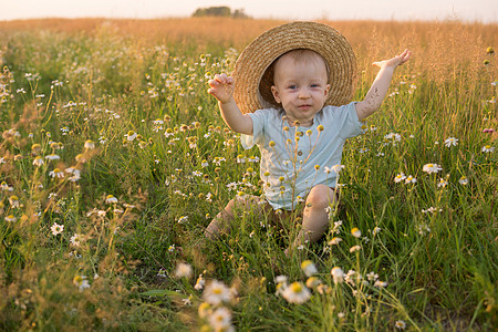 小雏菊背景一个戴着草帽的金发小男孩坐在洋甘菊田的草地上 在自然中行走 自由和环保生活方式的概念阳光草本植物甘菊男生环境小家伙雏菊花束野生动背景